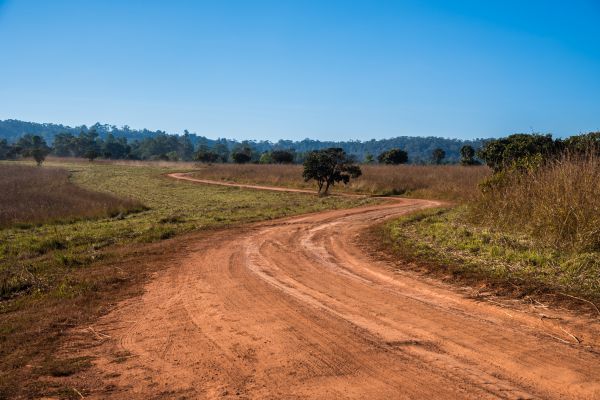 Dirt Driveway Repair in Amarillo