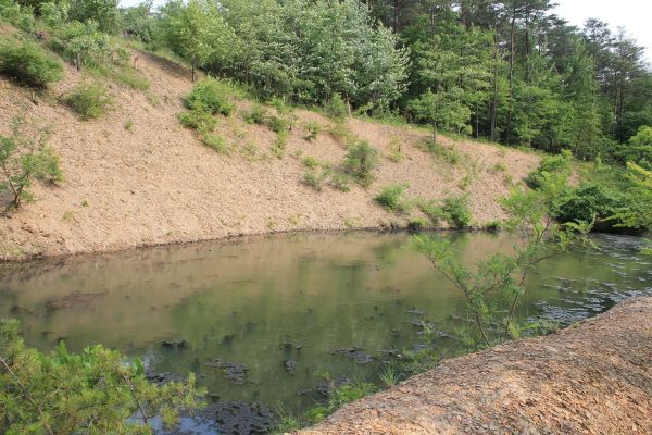 Pond Erosion Repair in Amarillo