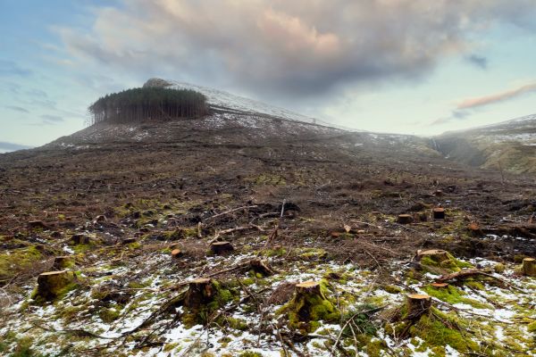Cost of Hill Removal in Amarillo